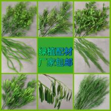 ������횲��J�������R��ǧ�ӽ����ϻ��ľGɫɭϵ��c���ŵ�픲廨