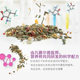 Free Shipping Belgian Chinchilla Food Asia-Pacific Version Versail Chinchilla Food Chinchilla Staple Food Nutritionally Balanced