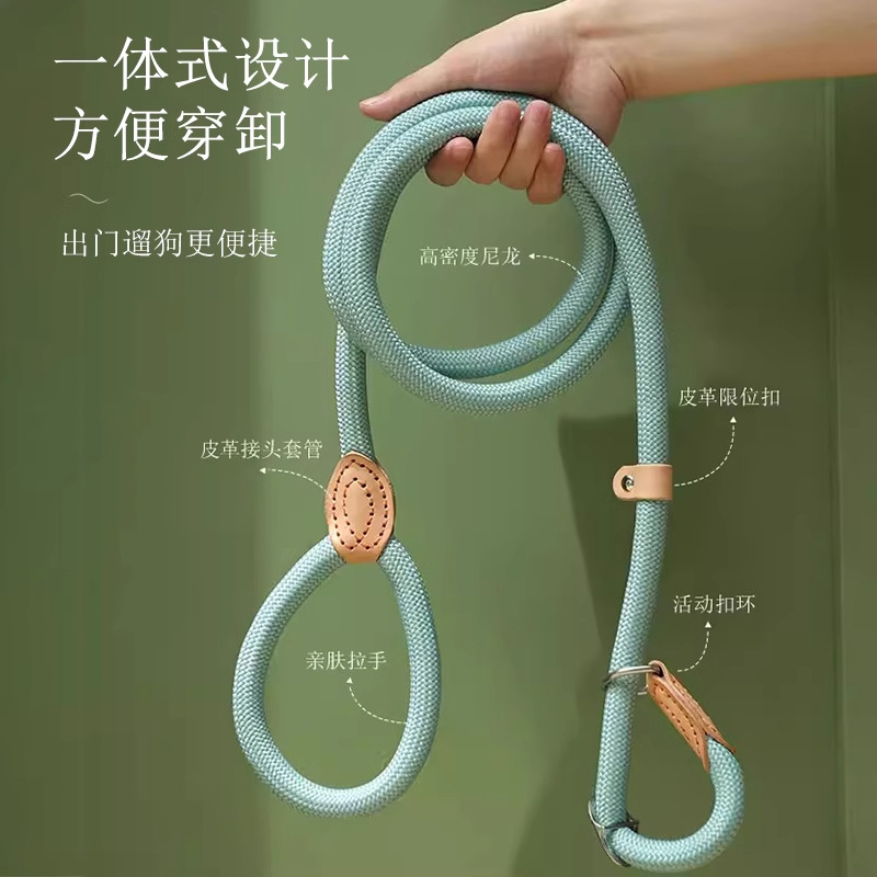 Correa de perro P cuerda correa de perro de una sola pieza anti-rotura perros medianos y grandes punzón a prueba de explosiones P cadena correa de perro Cadena de perro