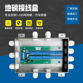 地磅;其他衡器