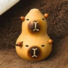 5-6cm