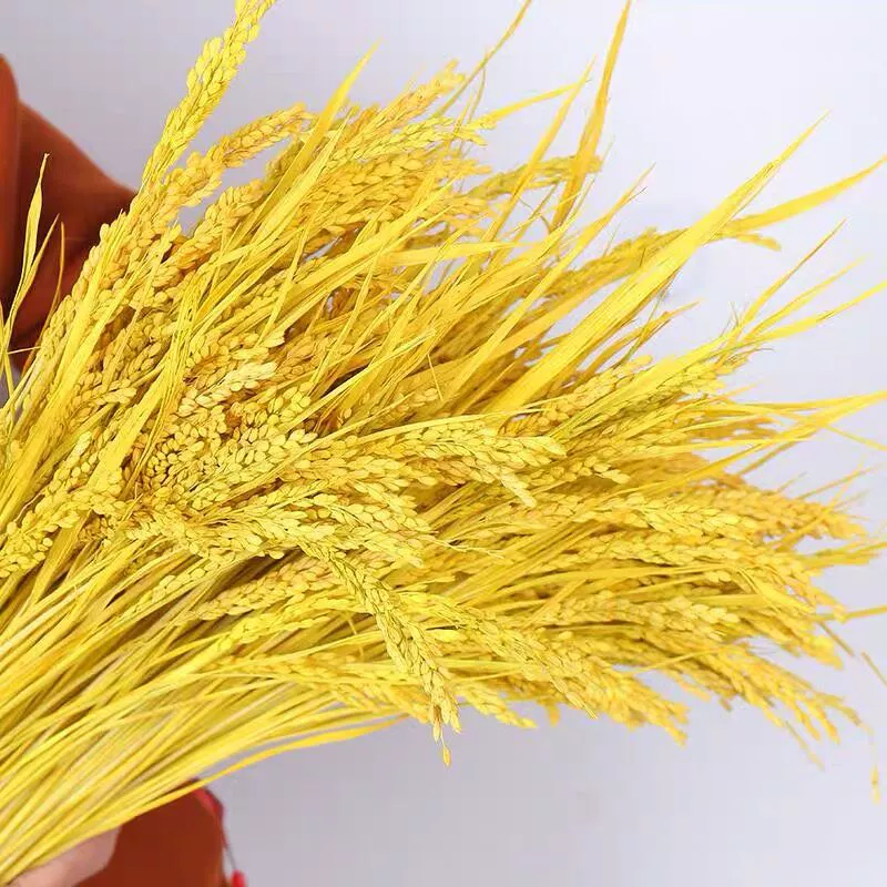 Сушеный цветок настоящая вода рисовые уши предметы интерьера искусство сушеные цветы выставка реквизит для стрельбы рисовые уши пшеничные уши сушеные цветы рисовый столб