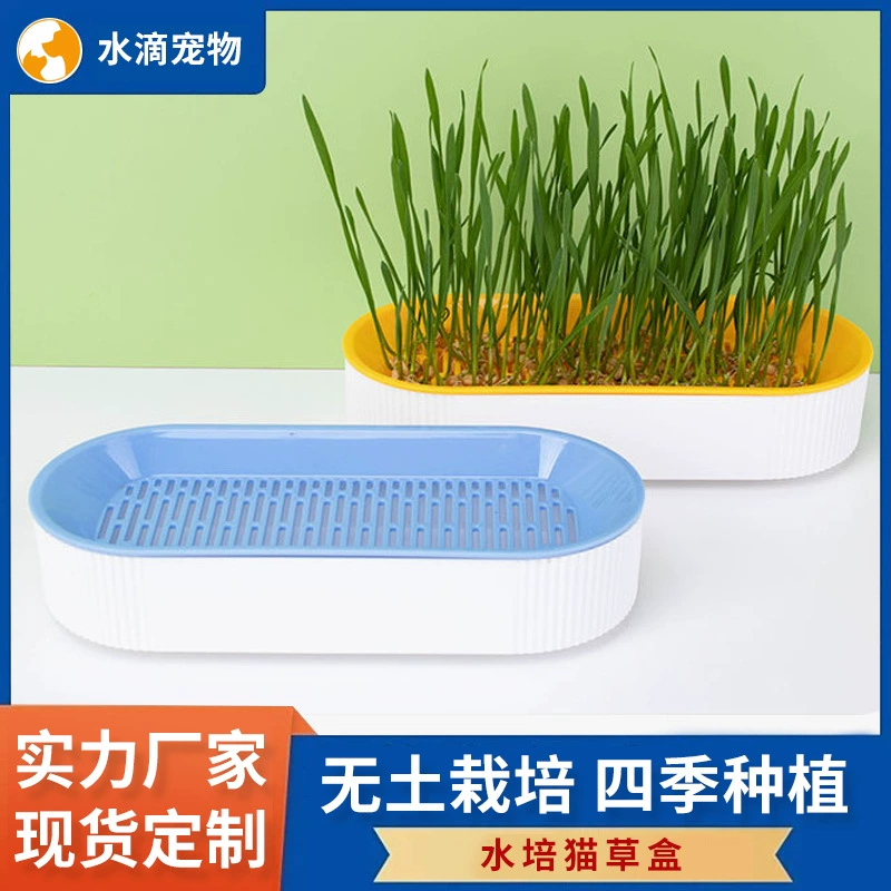 Трансграничная кошачья трава без почвы, гидропонная коробка для кошачьих закусок