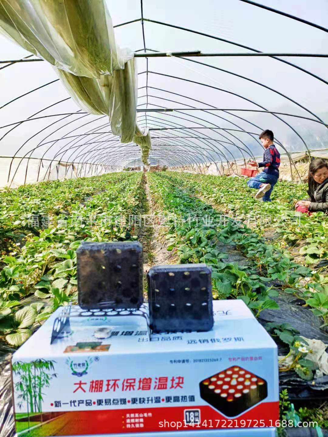 ff2f4cdd03e44245120f213f3ee5c2