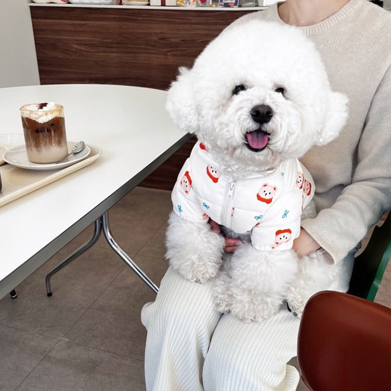 Japonés y coreano lindo estilo coreano Otoño e Invierno perro lindo oso completo impreso ropa de algodón acolchado mascota gato ropa de peluche caliente