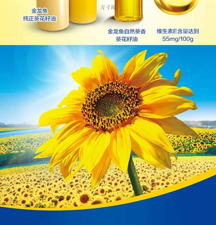 343745e4-b742-4a30-b8c6-3b65a9e8d945.jpe