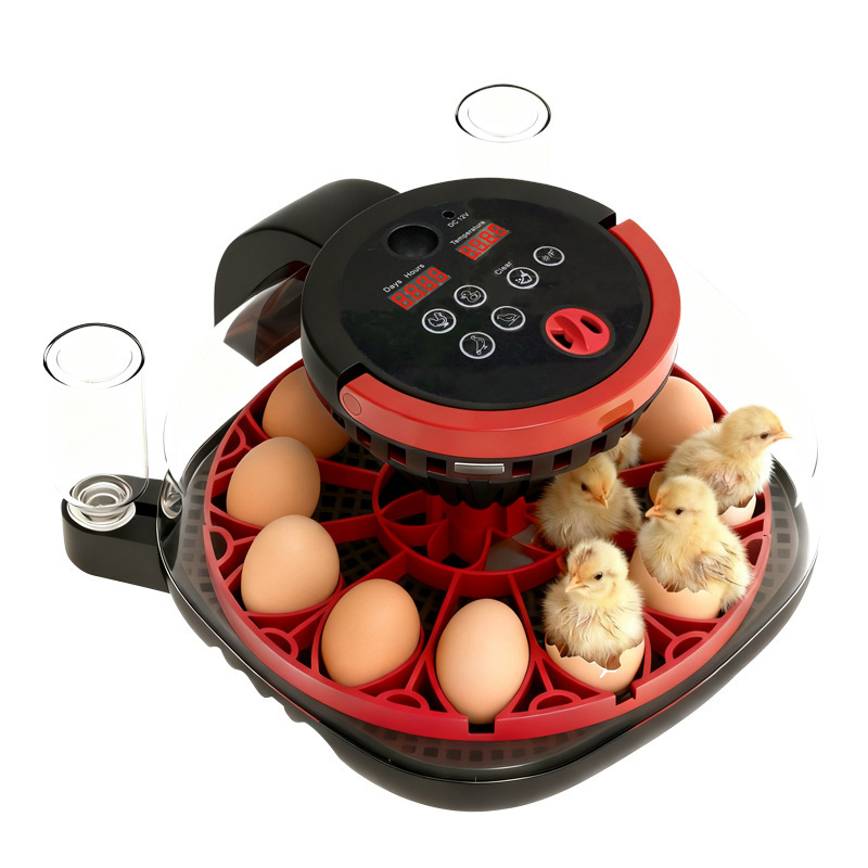 Rutina transfronteriza pollo, pollo, incubadora de aves, incubadora inteligente doméstica pequeña, incubadora de juguetes de pollo, incubadora de juguetes