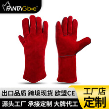 ƌÄڱ׬F؛l늺CưȫoI͸ߜȫ