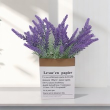 ins�L޹�²ݼ������滨�����ⷿ���ֵ�b�Ʒ�[�����|�ۄ���YƷ