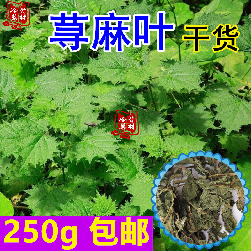 Nettle Leaves, Green Nettle Leaves, Dried Nettle Leaves 250g, Free Shipping, Pure White Nettle Leaves Nettle Leaves, Green Nettle Leaves, Dried Nettle Leaves 250g, Free Shipping, Pure White Nettle Leaves
