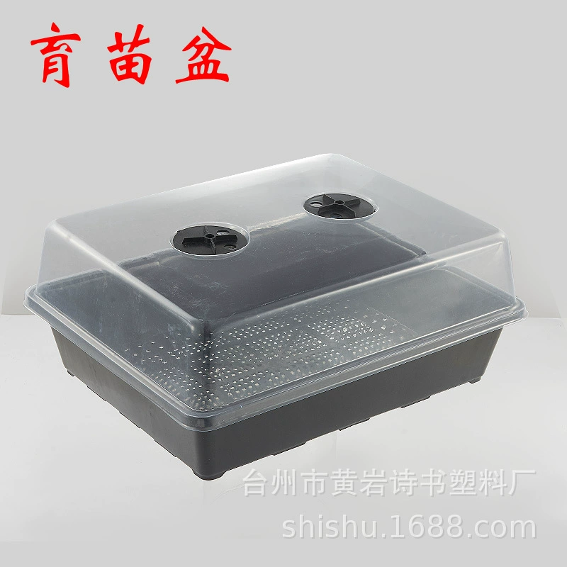 Утолщенная пластина для рассады суккулентов 20 маленький черный квадрат маленький цветной квадратный прямоугольный кронштейн для рассады пластиковый бассейн для ростков овощей