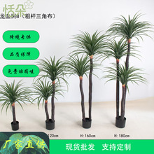 �羳������Ѫ��ֲ�����Լ٘�Gֲ�[���F��ͥԺ�쾰�b��澰�^��