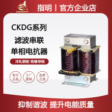 ָ������ CKDG�����˲��������ݵ翹�� ����ͭ���˲��翹��7%14%
