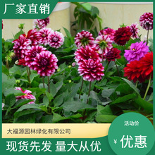 С���������ͺ�������ͥԺ�̨���Զ�����������r��Ҏ���Rȫ