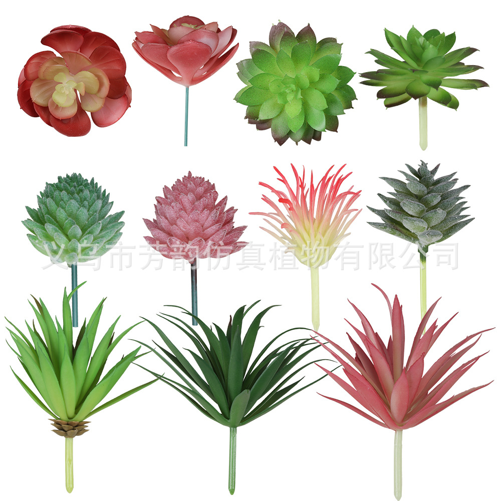 Cabezas de Suculentas Artificiales de PVC, PE y TPR para Arreglos Florales de Interior y Balcón image 5