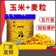 �����C����������������~�D���s�Z�~�DҰ��a�~���~ǧ���������