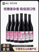 帝月雅夫人干红葡萄酒13.5度750ml宁夏贺兰山美乐红酒送礼整箱装
