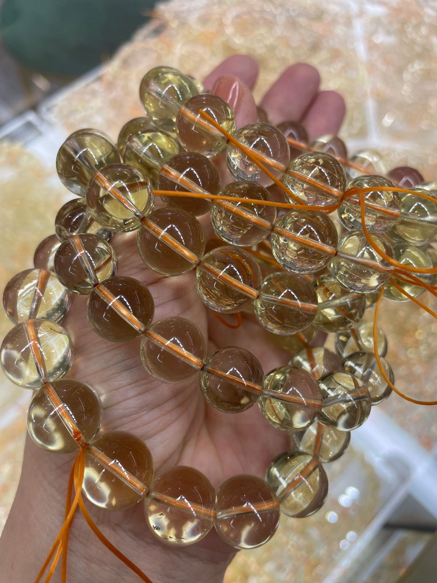 微信圖片_2025-06-13_192102_416