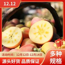 ½Kt±O59ͥb8Yb2025FժFb