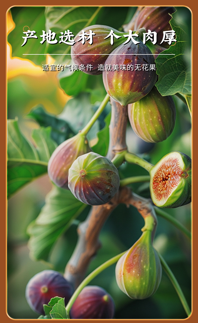 Freeze-Dried Figs Wu Hua Guo Sugar-Free Dried Fruit Snack 100g Bag for Baking and Cake Decoration specifications