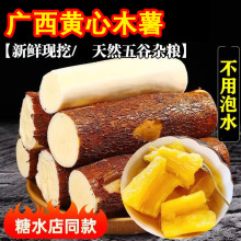 黄心木薯新鲜现挖广西特产农家黄肉面包板栗薯糖水店食用粉糯香甜