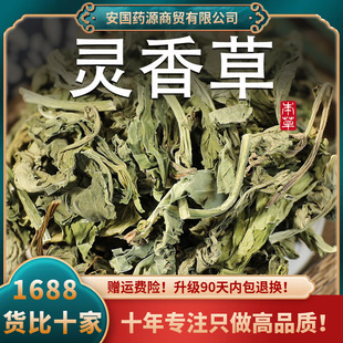 �`�����ș���������������`�ݝMɽ������{�Ͽ�������ɲݴ��