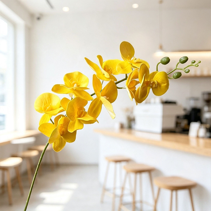 Phalaenopsis 3D mới/màu vàng