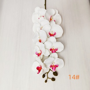 ��Ʒ�|9�^�����m���滨�ٻ���֦�[���͏d�廨ƿ�bF���[�O�b�