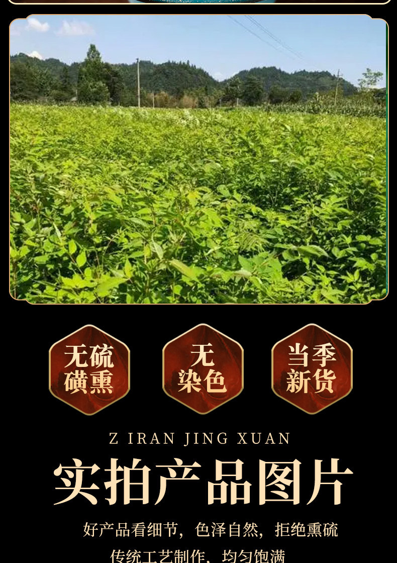 Huang Bai Dried Phellodendron Bark Slices 500g Traditional Chinese Herb for Decoction and External Wash quality and texture