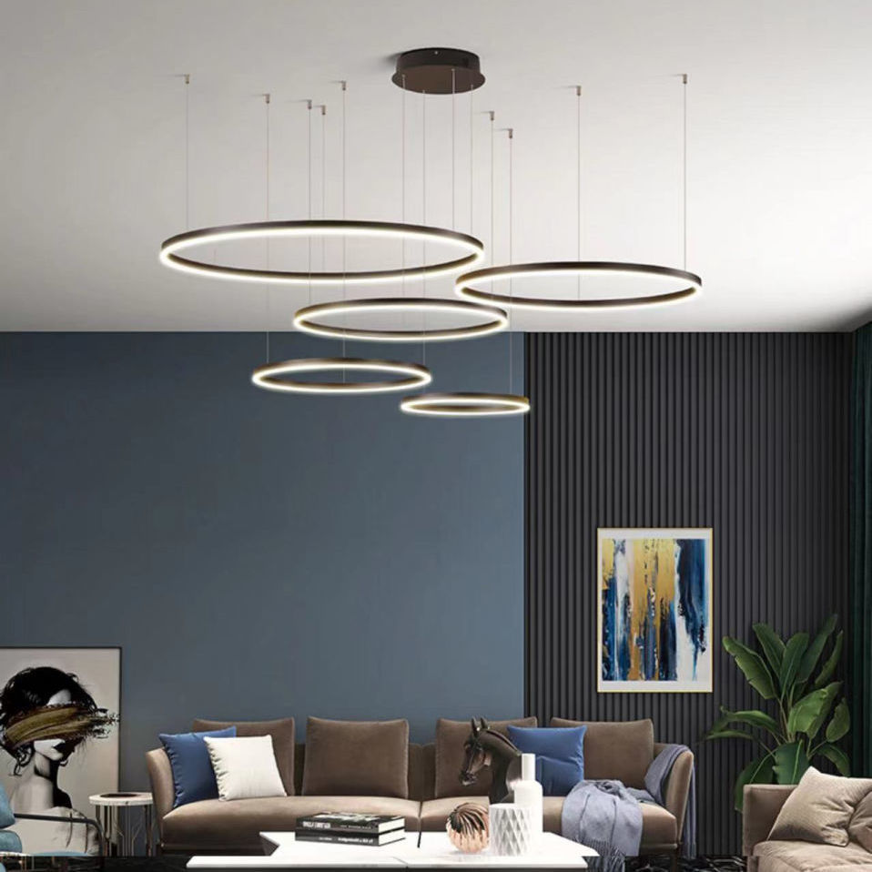 Contemporary Ceiling Light
