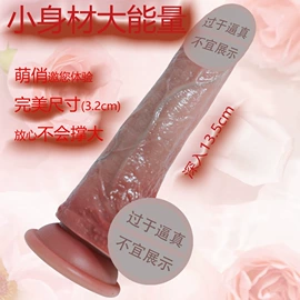 仿真阳具;其他男用;润滑剂