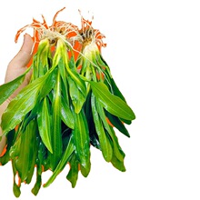 ���~�ŹھG�ʹ�����Źڼt�Ź�ˮ���~���쾰�b�ֲ���к���Բ�