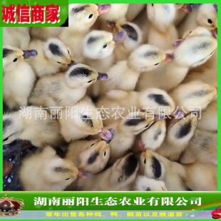 ����������С�S������w����С����ë����ˮ������һ���g�������