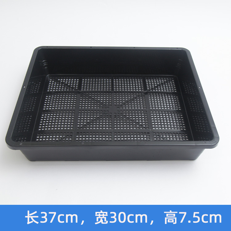厂家批发多肉塑料花盆接水盆小黑方育苗盘可装20个小方长方形托盘