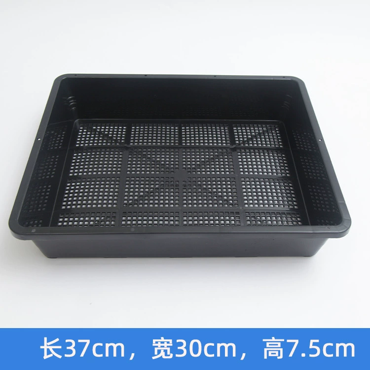 Оптовая Продажа с фабрики мясистый пластиковый цветочный горшок с водным тазом маленький черный поднос для рассады может вместить 20 небольших квадратных прямоугольных лотков