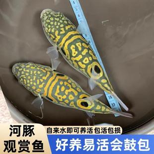 ����С�����^�p�~��ˮ��ˮͧ����ԭ���~��ˮ�~���~���y���๷�^�~