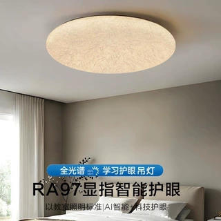 卧室吸顶灯新款现代简约法式蚕丝吸顶灯极简轻奢设计师书房主卧灯