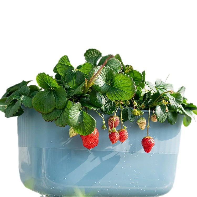 Rectangular flowerpot for living room, water absorbent, Nordic style