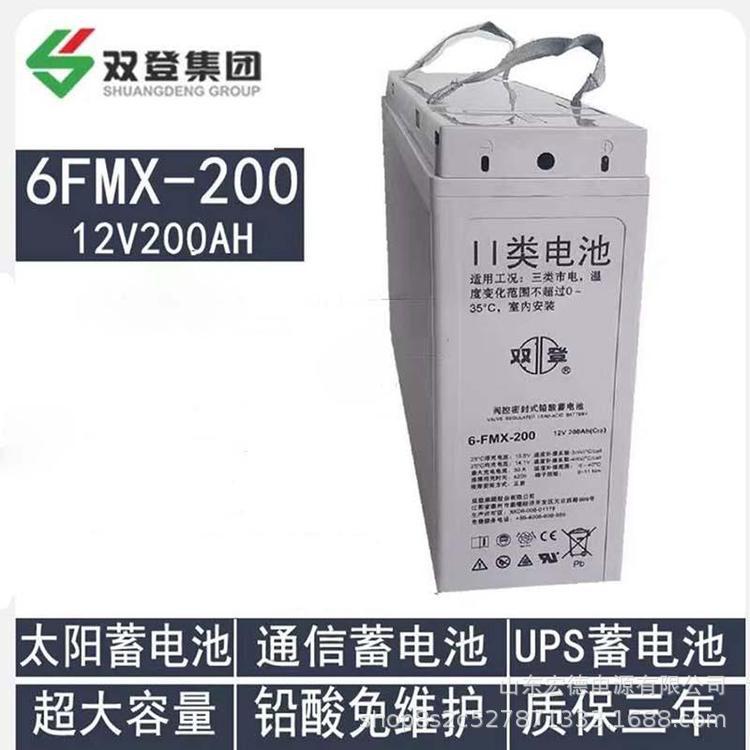 双登蓄电池 6-FMX-200B 狭长型 12V200AH 通信蓄电池 前置端子