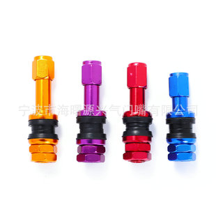 Colorful Valve Vacuum Valve Tr48E Motorcycle Aluminum Alloy Valve Tr48E