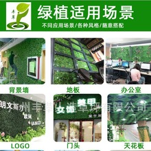 mƺȼƾGݻbGֲٲƤ