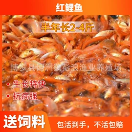 特种水产;水产种苗;库存农产品