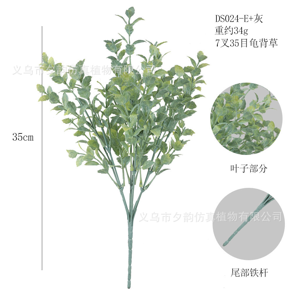 DS024-회색 녹색 7갈래 거북이 잔디