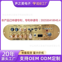 �羳ר��2.1����ԭװIC�������Ű�ߵ��������ص����ڴ���D900