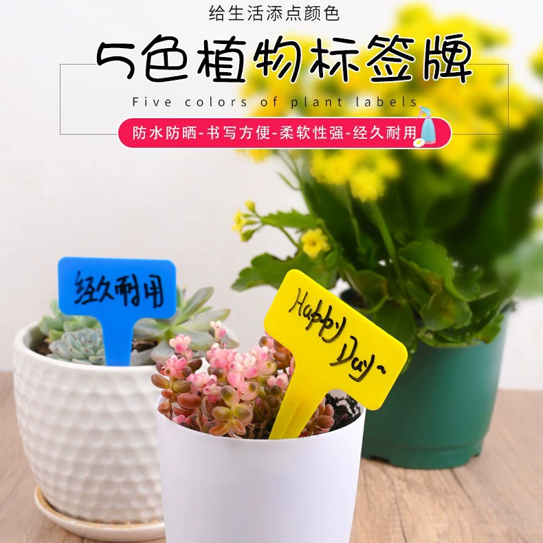 Утолщенная садовая Цветочная этикетка завод Т-образная этикетка мясистая пластиковая этикетка для цветочного бренда Amazon садовая этикетка