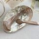 Natural Shell Polished Fruit Plate Caviar Plate Hotel Table Shooting Props Shell Plate Pearl Shell Tray