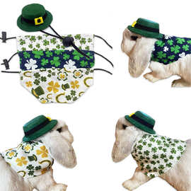 宠物兔子 龙猫 荷兰猪 豚鼠 帽 衣服 爱尔兰节 圣.帕特里克变身装
