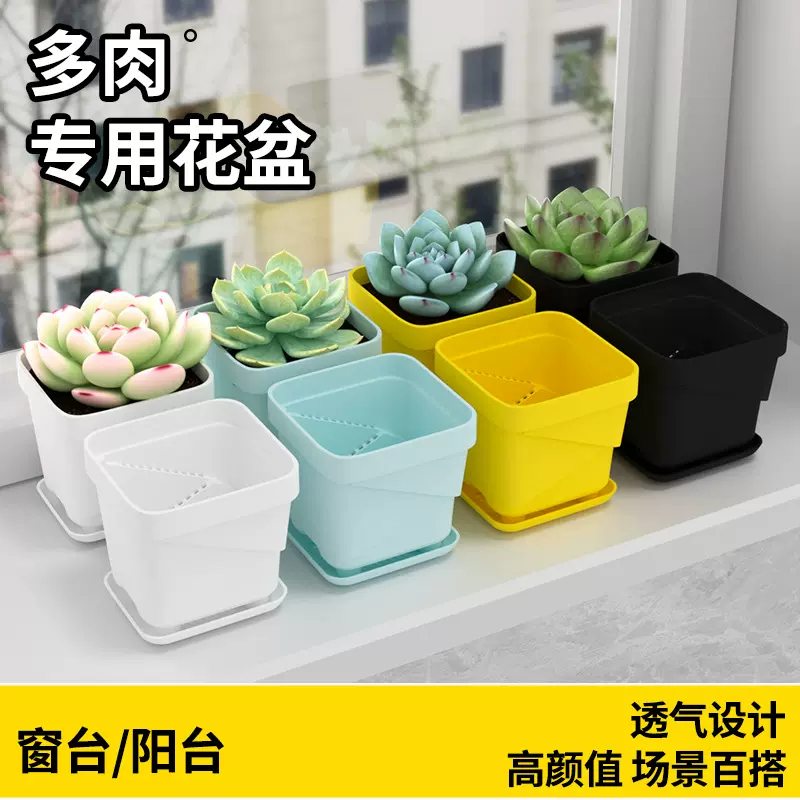 6.5/7.5/12.5厘米多肉专用花盆防烂根透气小植物培育塑料精致花盆