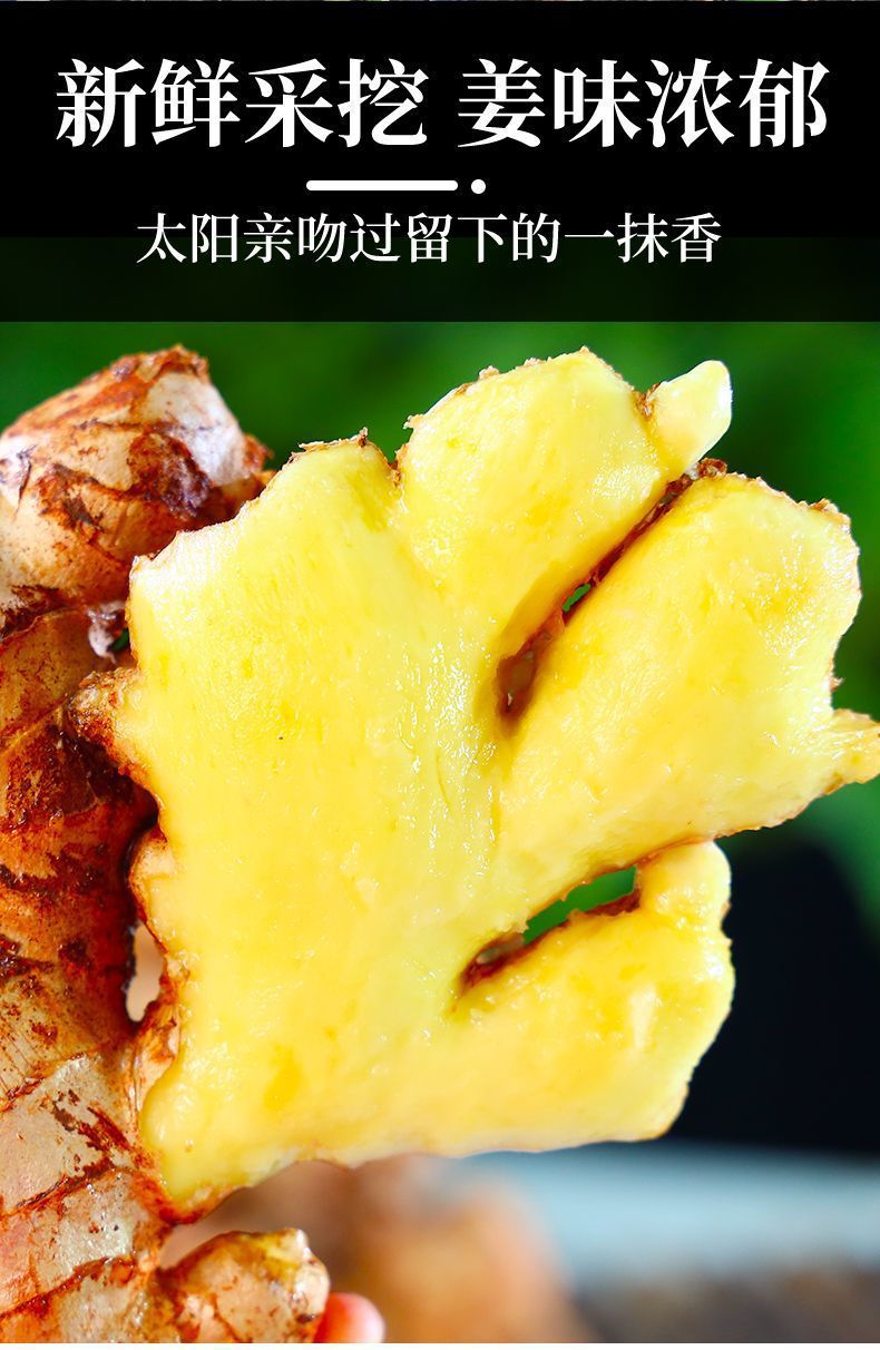 939107e9-a1e9-4954-8f7b-ec24e613fdfb.jpe