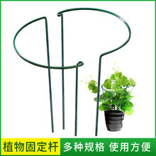 花园植物支架攀爬支撑架花盆架花心形金属铁艺园艺固定杆户外